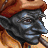 avatar de felipe